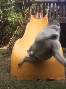 巴哥爆料新世界视频播放,新世界视频播放背后的秘密  第3张