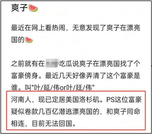 新瓜网红爆料视频大全,热门事件幕后真相揭晓  第1张