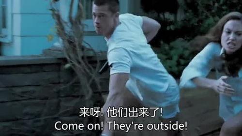 夫妻杀手在线观看八哥,八哥视角下的悬疑爱情悲剧  第3张